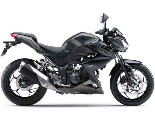 Фото мотоцикла Kawasaki Z300 ABS